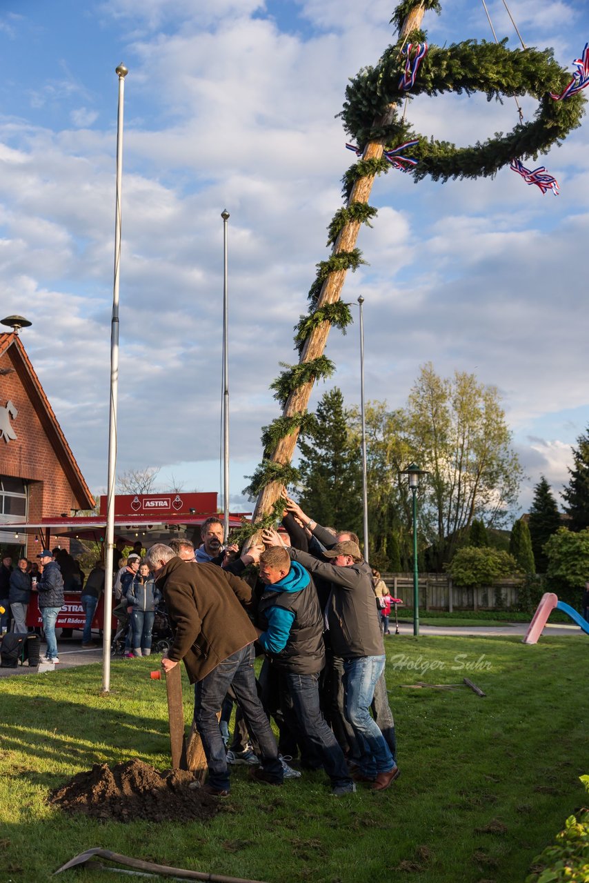 Bild 70 - Maibaum